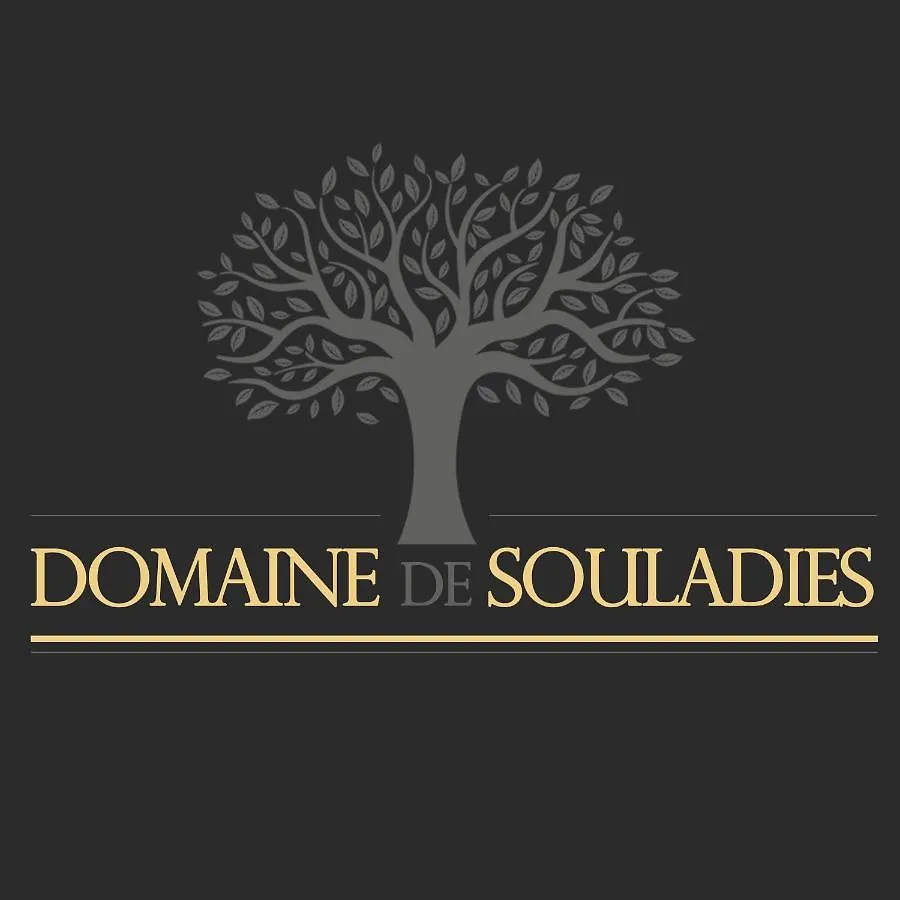 Domaine de Souladiès Genebrieres Hébergement de vacances