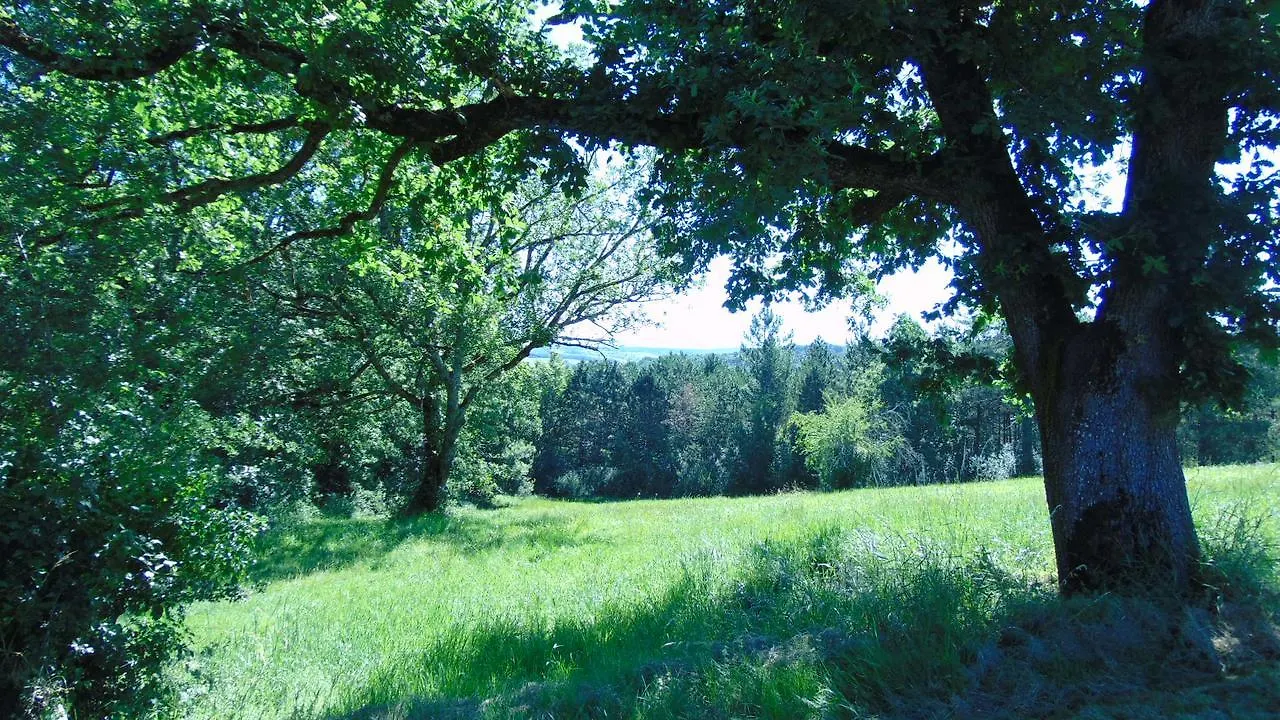 Domaine de Souladiès Genebrieres 0*,  France